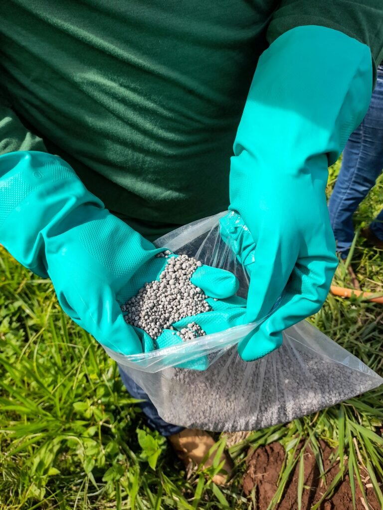 pexels-photo-25974981-25974981 Close-up of a farmer holding fertilizer granules in green gloves in a rural field.