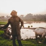 A farmer stands near a grazing cow by a rural lakeside at sunset, depicting serene agricultural life.
